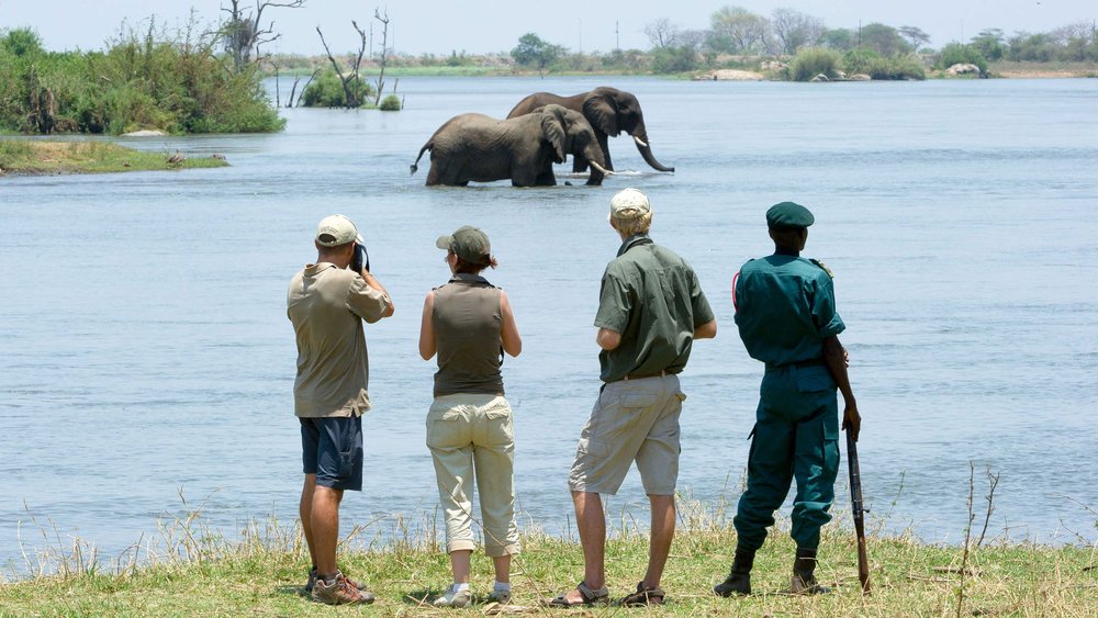 Majete Safari Elefante