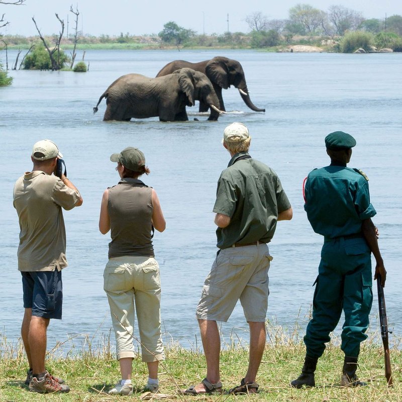 Elefanten im Majete Wildreservat