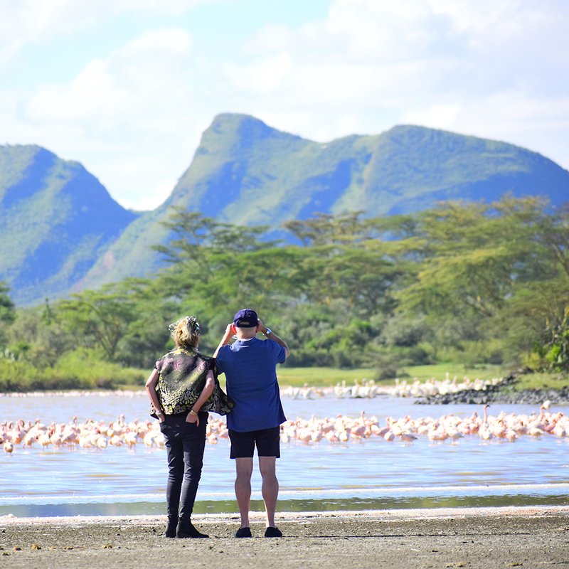 Birding Tour am Lake Elementeita