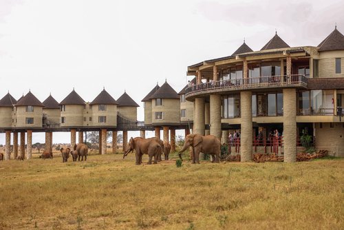 Salt Lick Safari Lodge