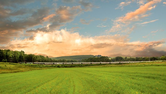Reisen mit dem Rovos Rail