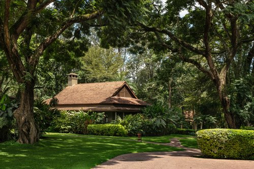 Legendary Lodge, Auberge Safari