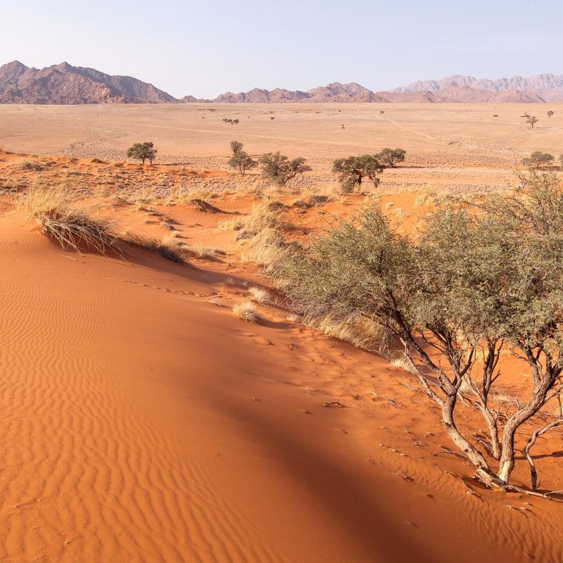 Rote Landschaft im Sossusvlei