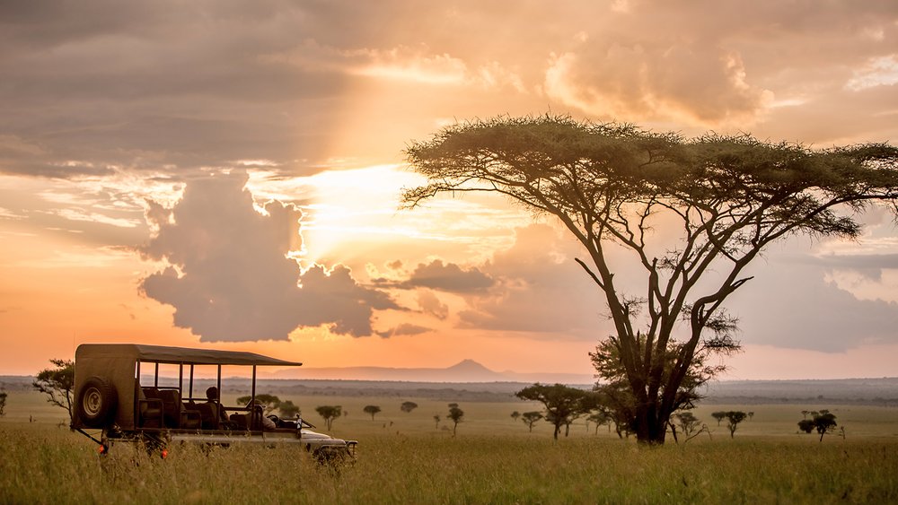 Safari im Sonnenuntergang