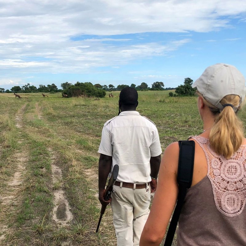 Wandersafari im Okavango Delta