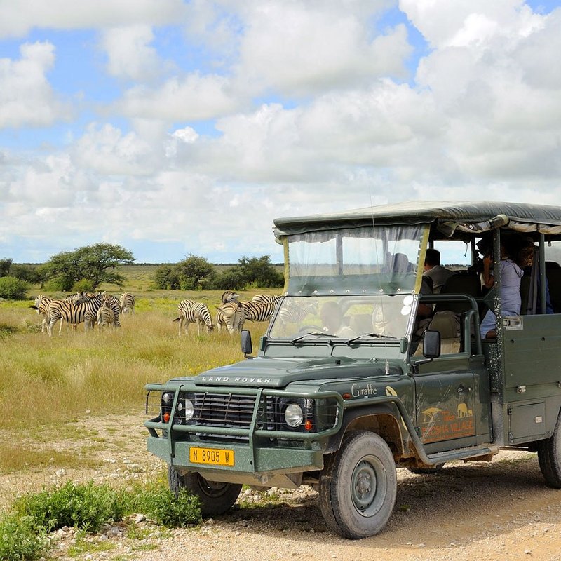 Pirschfahrt im Etosha Nationalpark