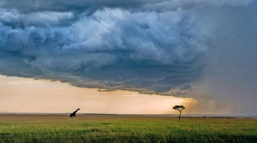 KENIA-SPECIAL - Masai Mara & Kilimanjaro mit Stil