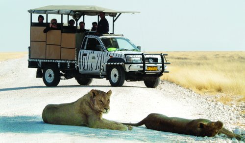 Etosha Safari Camp Gondwana Collection Namibia