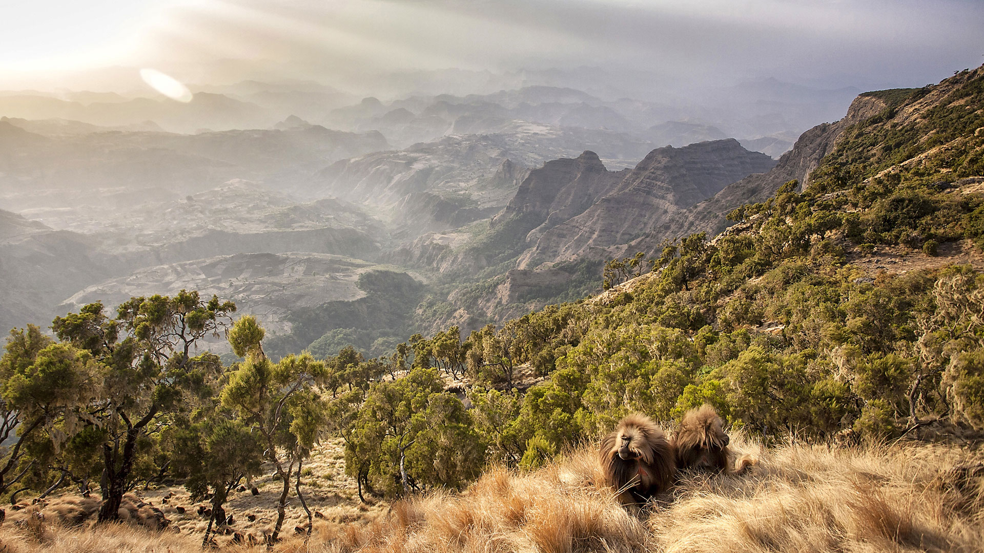 Landschaft Äthiopiens