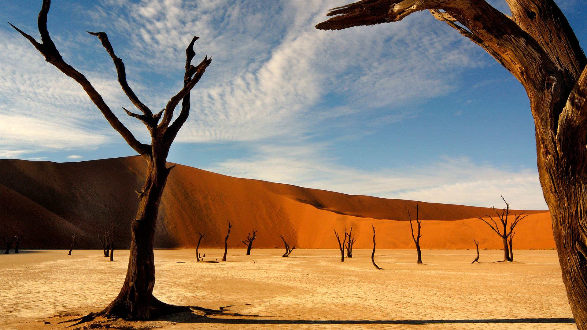 Wüste auf Namibia-Reise