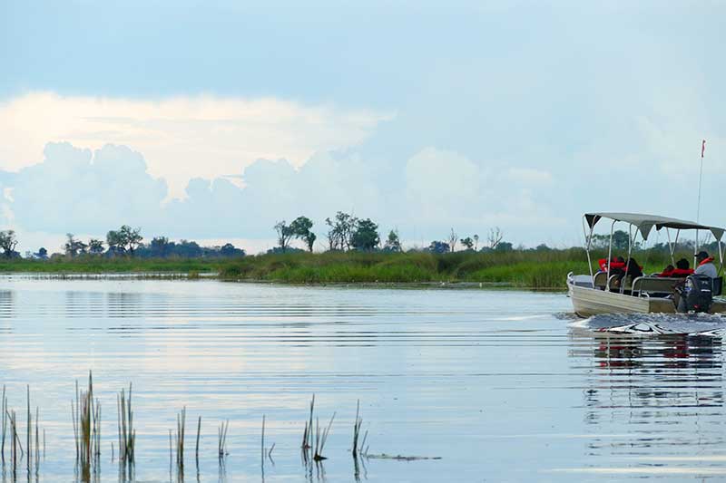 Bootsfahrt im Okavango Delta auf Botswana Reise