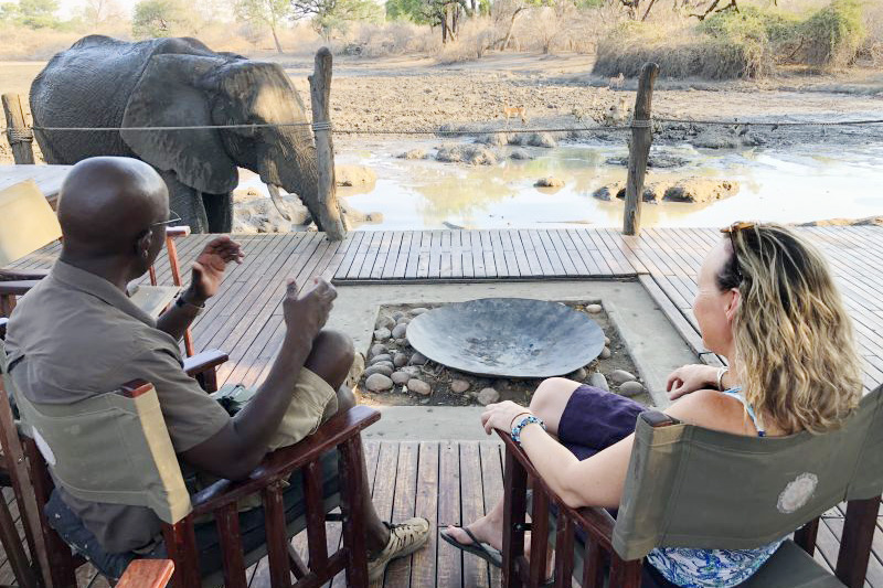 Elefanten auf Afrika Reise