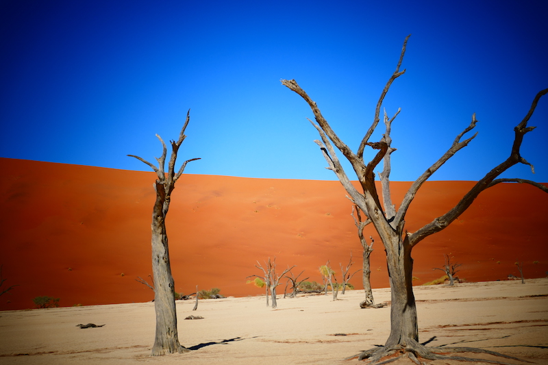 Wüsten Besuch auf Afrika Reise