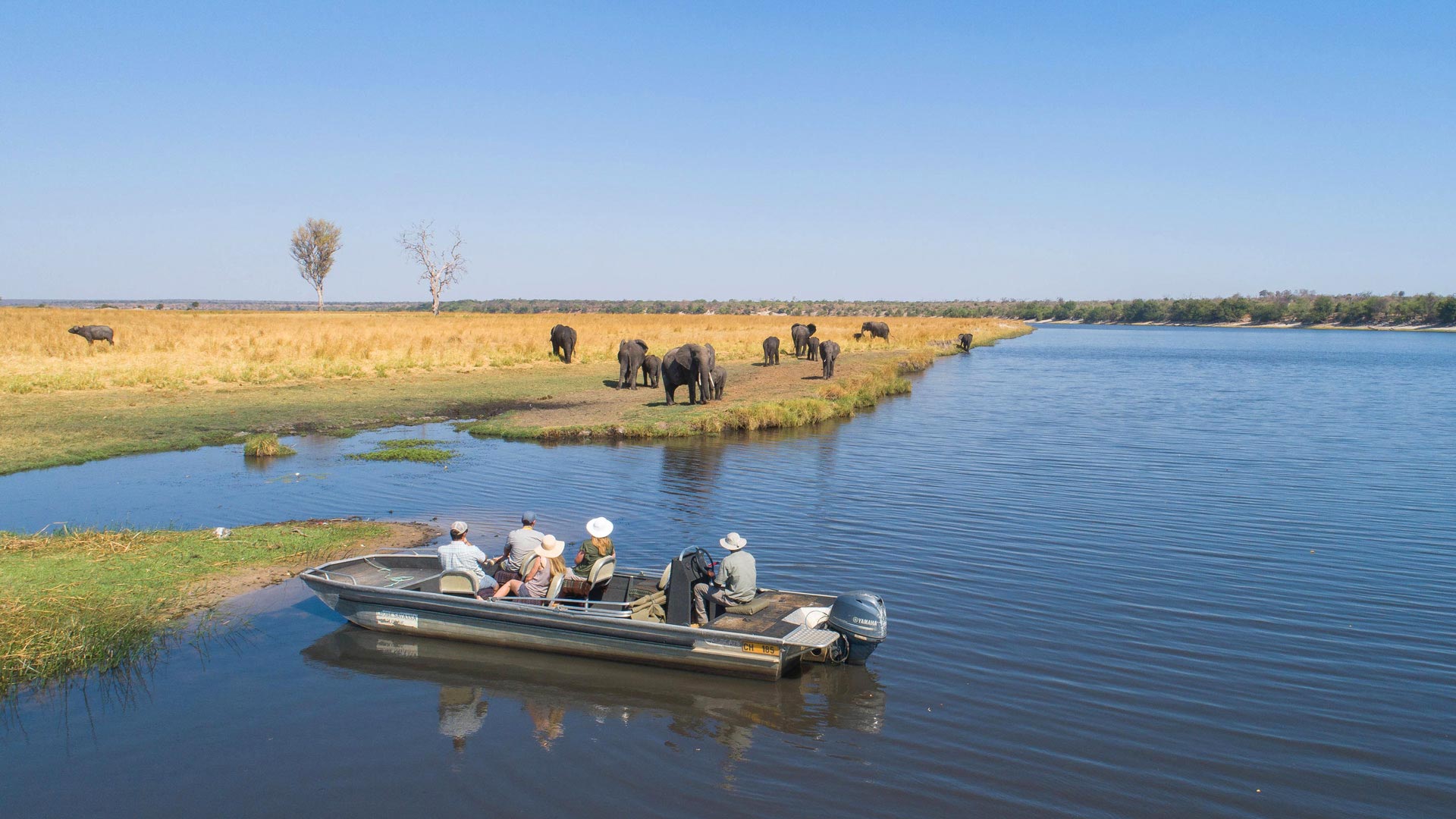 Eine Gruppe Menschen beobachtet während einer Bootsafari entlang des Chobe River eine Herde Elefanten am Ufer
