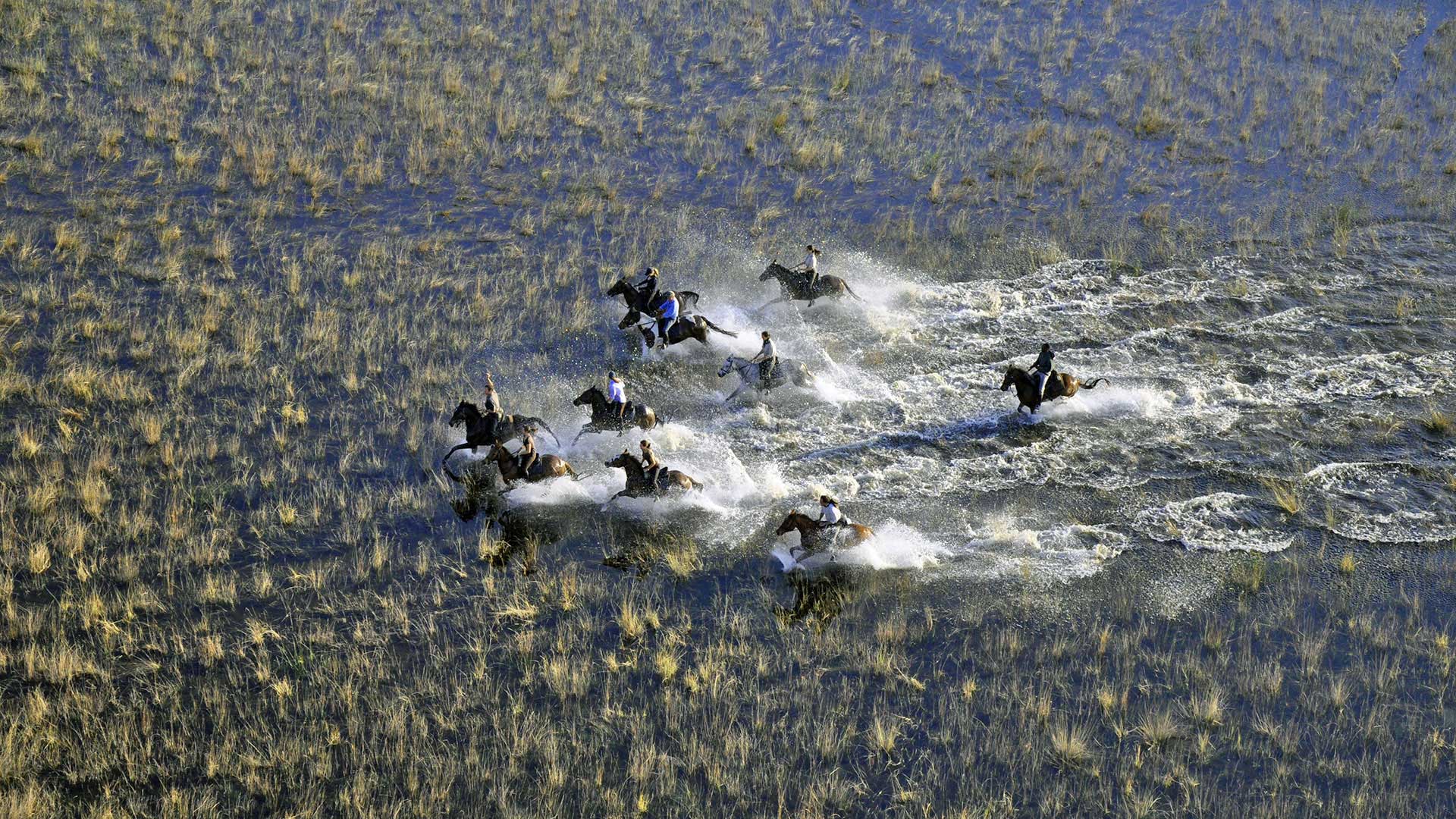 Reitsafari durch das Okavango Delta