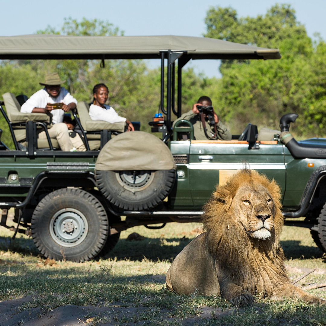 Safari im Selinda Reserve
