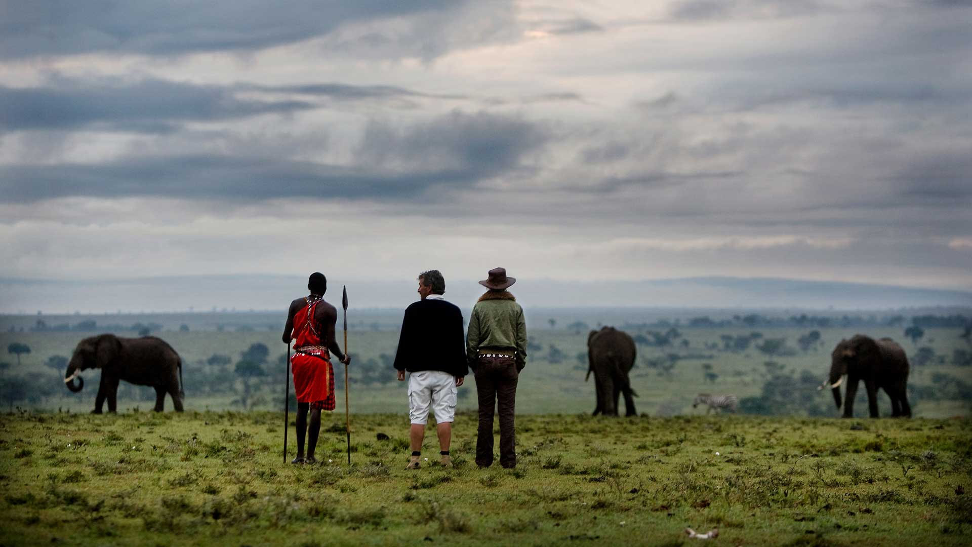 Während einer Walking Safari mit einem Masai beobachten zwei Menschen eine Gruppe Elefanten