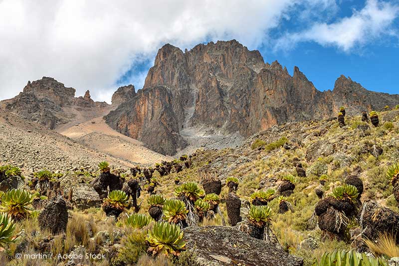 Safaris in der Region des Mount Kenya