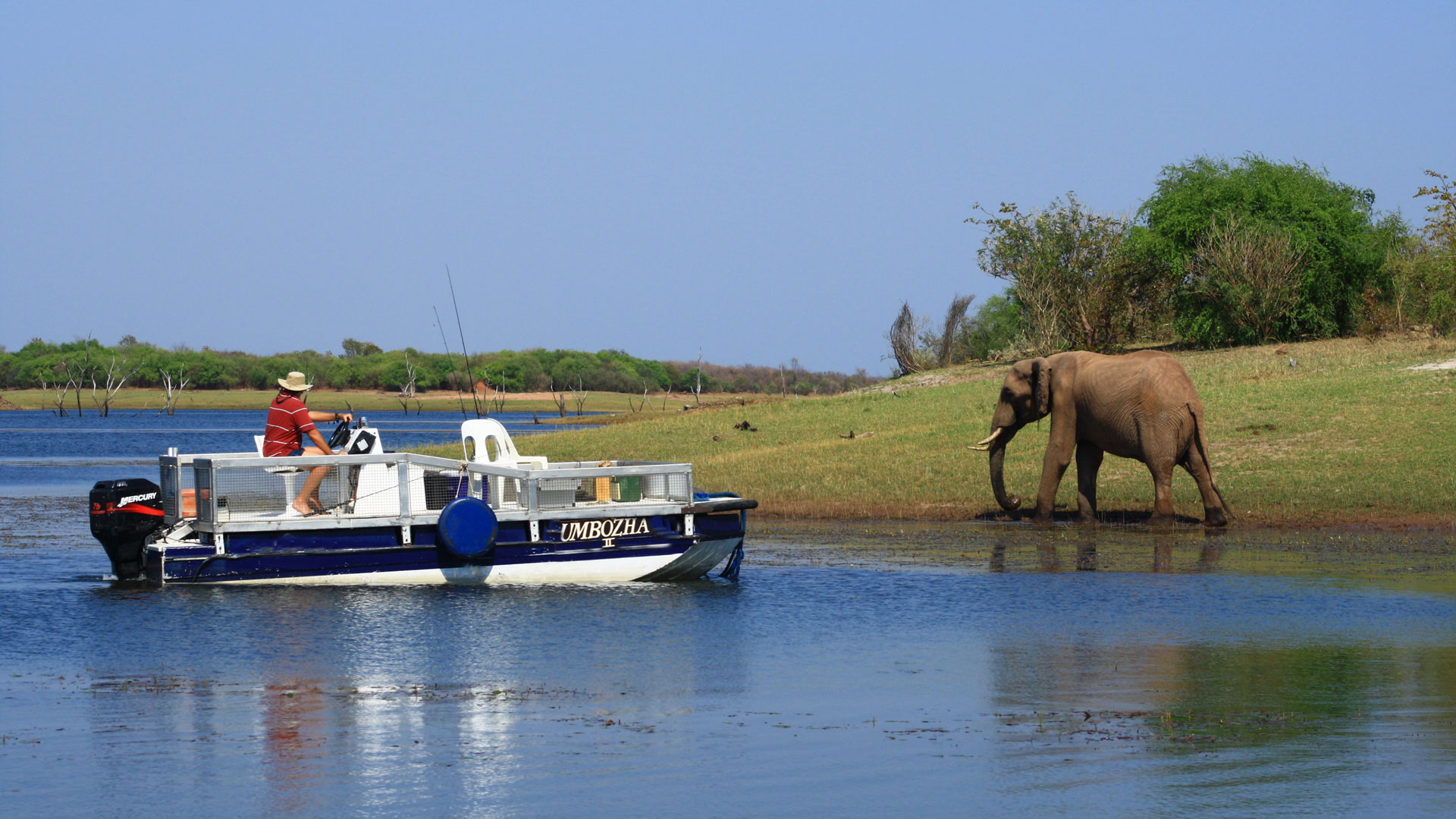 Ein Mensch beobachtet vom Boot aus einen Elefanten am Ufer