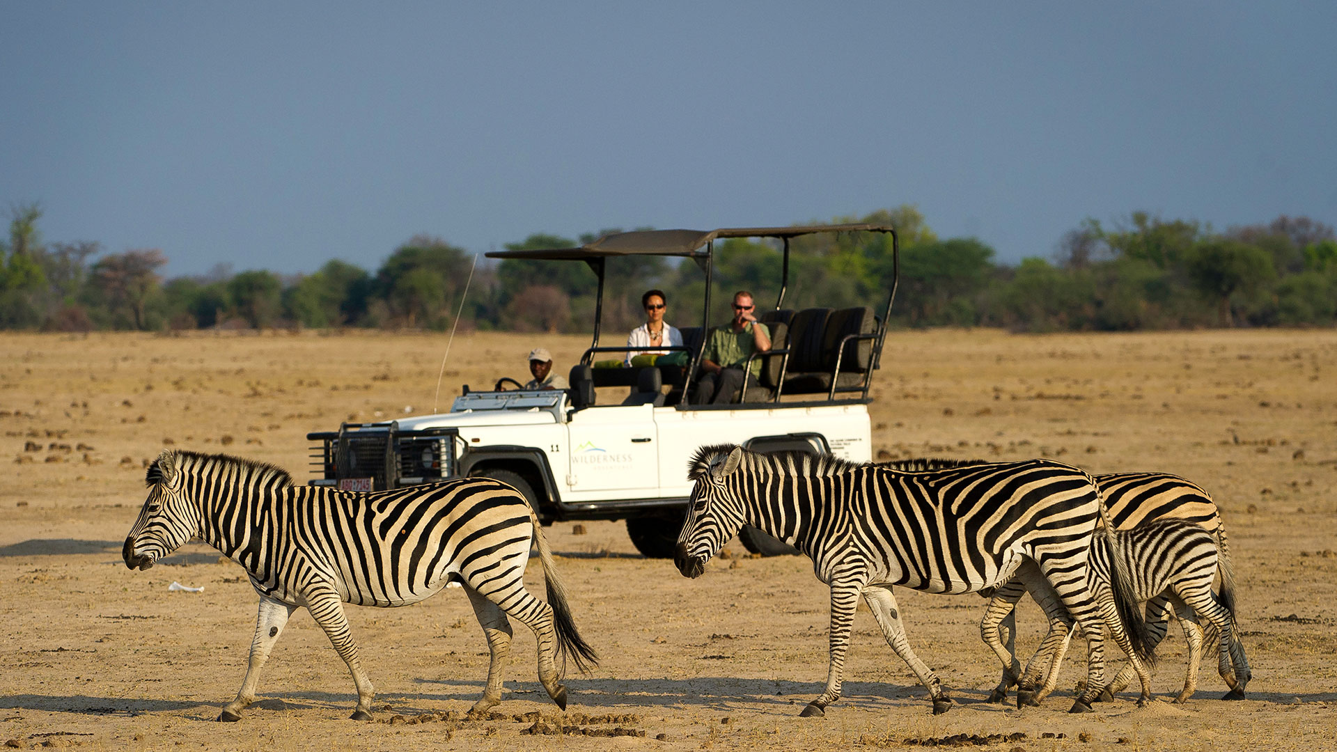 Zebras auf Flugsafari in Simbabwe