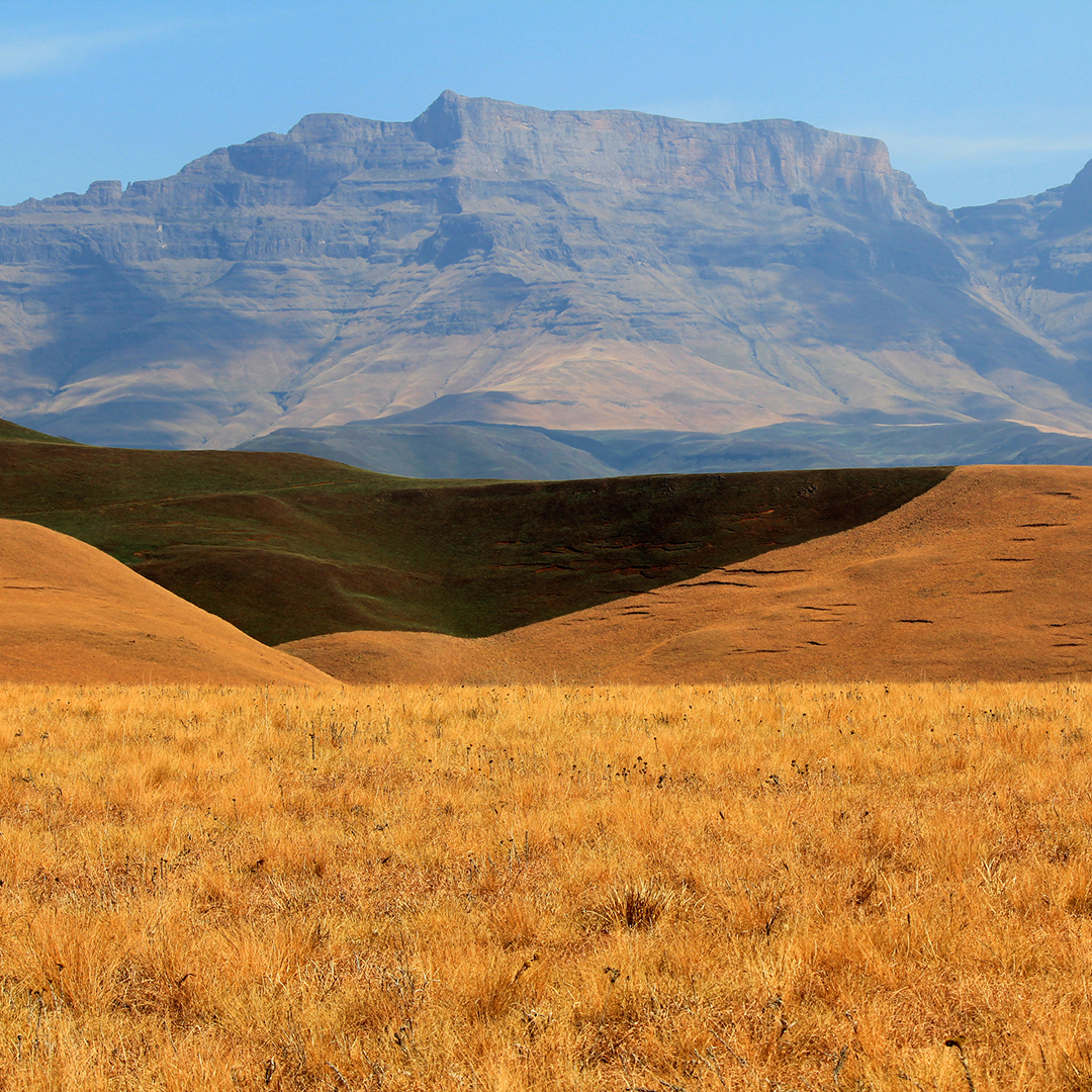 Blick auf die Drakensberge