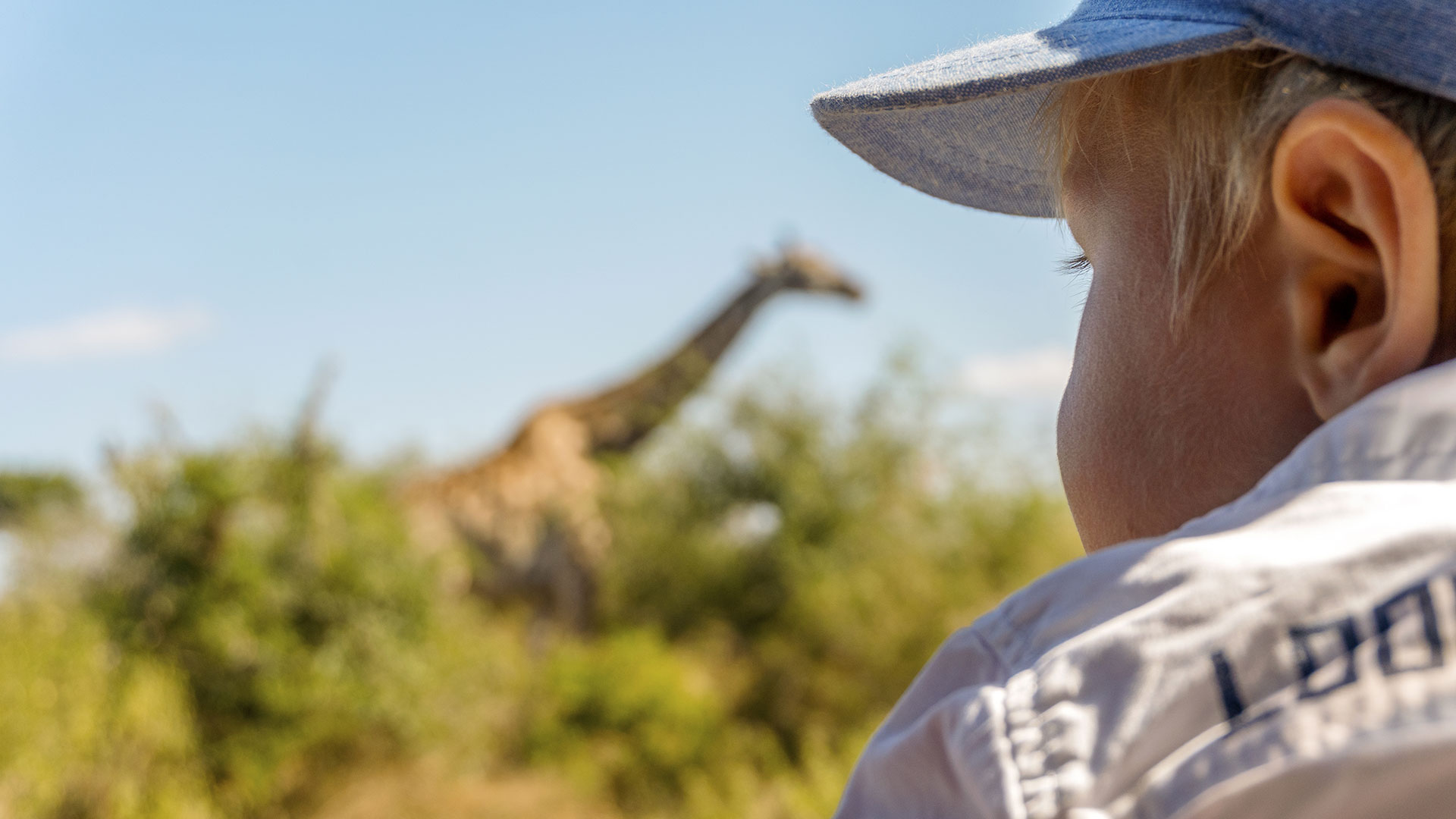 Giraffe auf Familiensafari in Südafrika