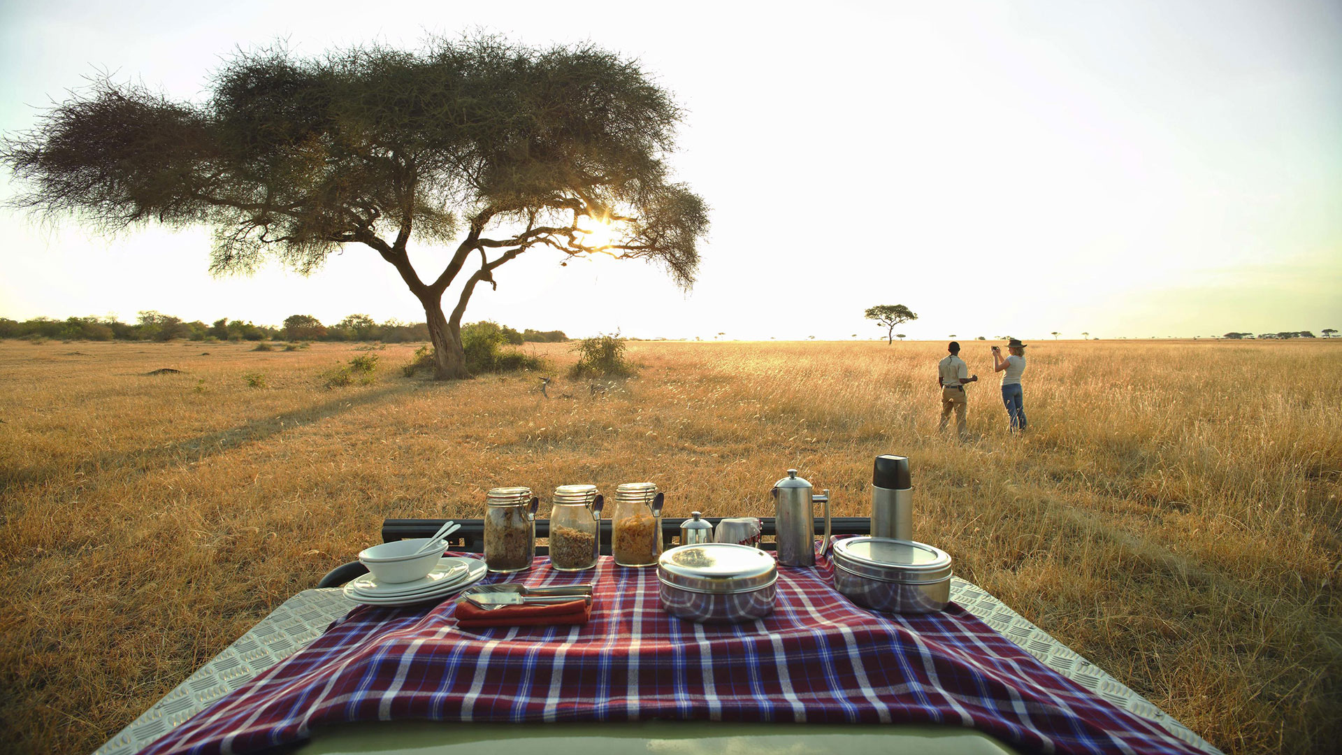 Privat geführte Safari in Tansania