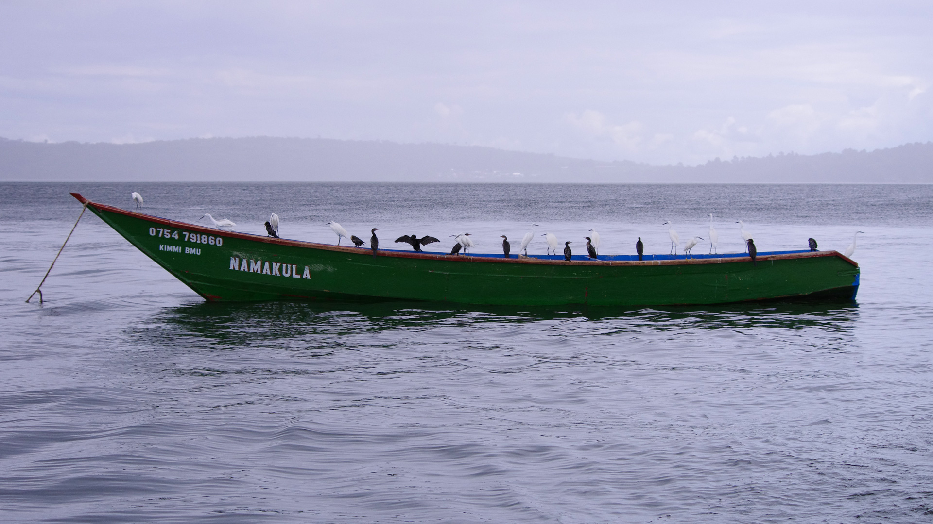 Boot auf dem Lake Victoria